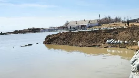 "Кар-Тел" направит 1 млрд тенге для помощи пострадавшим от паводков 