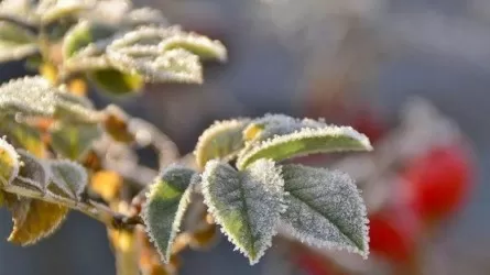 Синоптиктер 13 өңірде ескерту жариялады