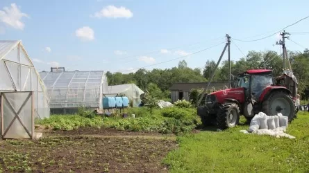 В Шымкенте на грани выживания полторы тысячи крестьянских хозяйств