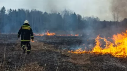 В Красноярском крае действует 21 лесной пожар