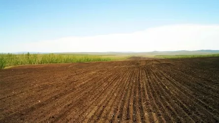 Вводится новый штраф чиновникам за нарушение земельных законов