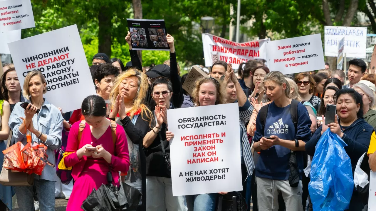 Митинг в защиту животных: в Алматы прошел санкционированный протест