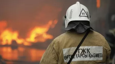 Жыл басынан бері 8 мың өрт тіркеліп, 213 адам қаза тапты