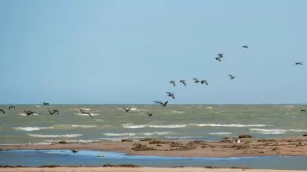 Стало известно, сколько воды направили в Каспийское море  