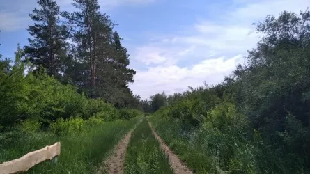 Зачем Казахстану интерактивная карта природных ресурсов