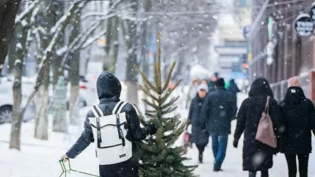 Стало известно, сколько потратят на новогодние елки в Талдыкоргане 