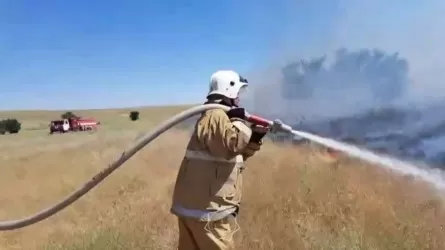 Борьба пожарных с возгоранием сухой травы в Туркестанской области попала на видео