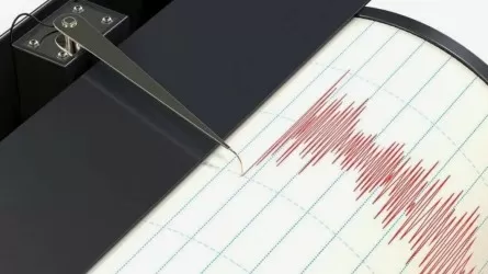 Землетрясение произошло в 335 км от Алматы
