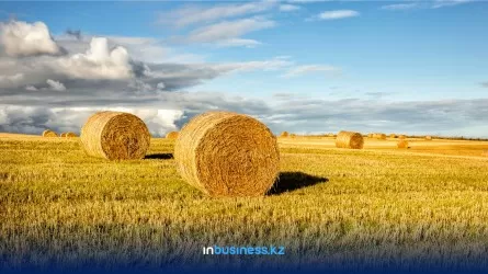 Как Павлодарская область поддерживает аграриев в текущем сезоне?