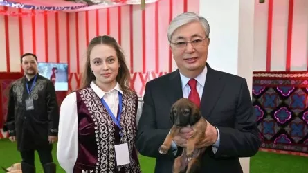 Каких животных дарили Токаеву на посту президента?