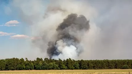 Лесные пожары создали критическое положение в Греции. Кто придет на помощь? 