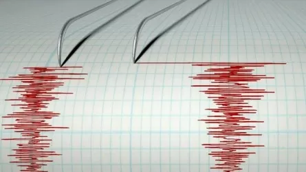 Землетрясение произошло в 836 км от Алматы