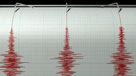 Казахстанские сейсмологи сообщили о землетрясении магнитудой 5.5