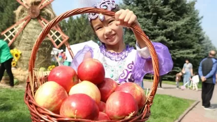 Apple Fest 2024 в Алматы: Нiro и Captown, 130 тонн яблок, 1700 литров яблочного компота и цирк шапито 