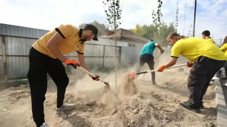 Тараз қаласында «Таза Қазақстан» акциясы аясында бір күнде бір мың терек егілді 