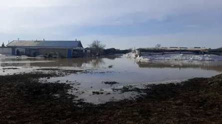 Қазақстанда 1 223 елді мекен су басу қаупі бар аймақта орналасқан 