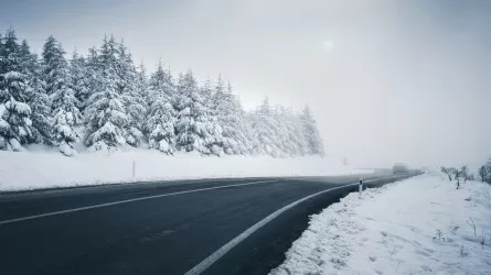 Елдің 11 облысында дауылды ескерту жарияланды  