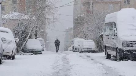 Бүгін еліміздің басым бөлігінде қарлы боран соғады