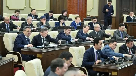 Депутаттардың мына бір ұсынысын Үкіметтің қолдамағаны белгілі болды