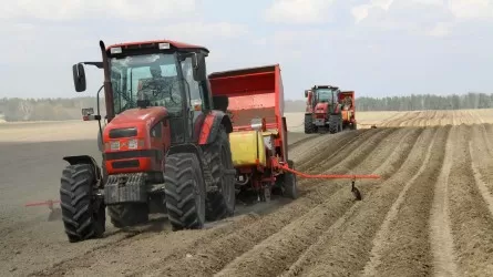 Ақмола облысында егіс науқанына дайындық басталды 