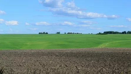 Земля подорожает в Кызылординской области  