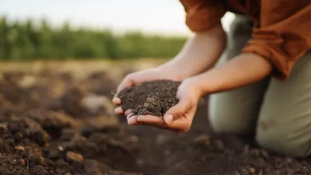 Қазақстанда топырақты тиімді сақтаудың құқықтық негізі әзірленеді