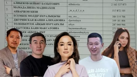 Блогерлер жаппай таңғалып та, жанұшыра «ақталып» та жатыр 