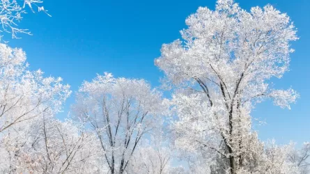 Какая погода будет в Казахстане 4 февраля