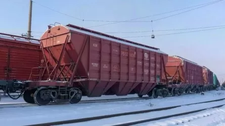 Сколько и куда экспортировали зерно хлеборобы Казахстана 