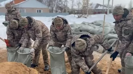 Су тасқынына қарсы қарулы күштердің 7 мыңнан астам әскери қызметшісі дайын