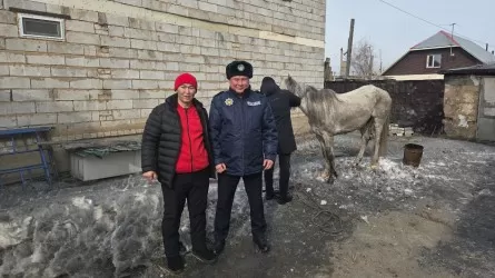 Почти двое суток не могли поймать сбежавшую лошадь в Семее 