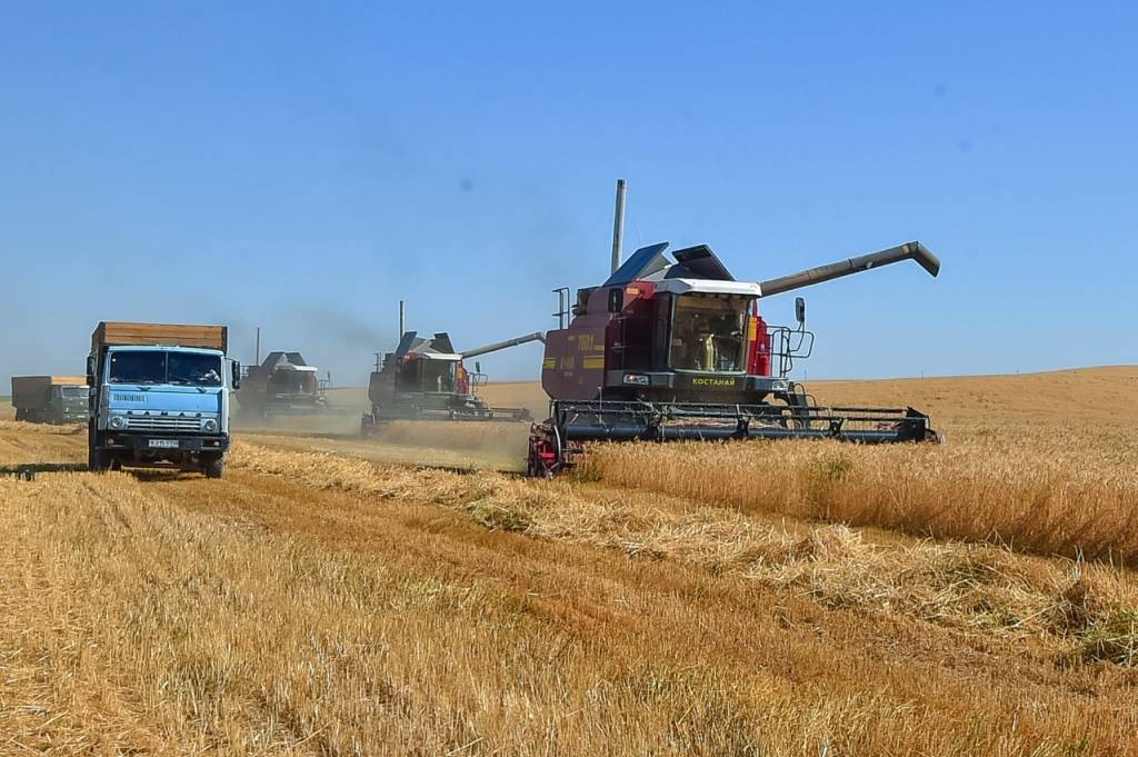 Ақмола облысында егін ору науқаны қызу жүріп жатыр