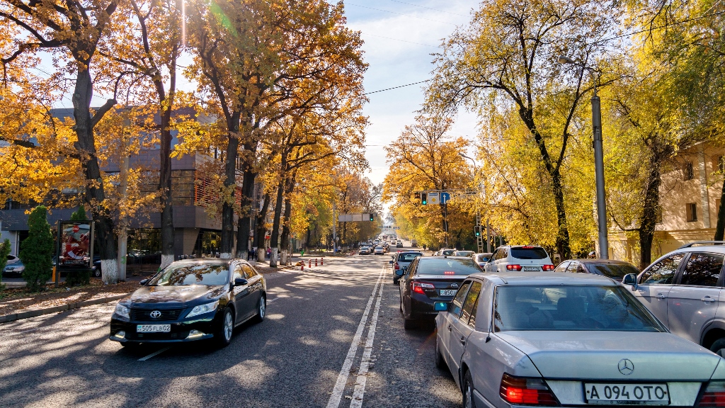 В Нур-Султане полицейские выявили «автомобили-клоны» из России 